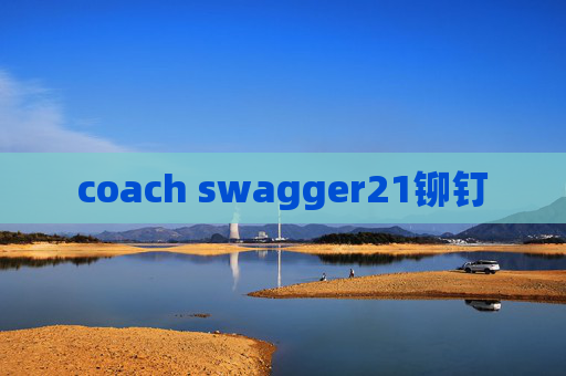 coach swagger21铆钉